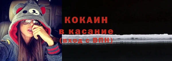 шишки Алексеевка