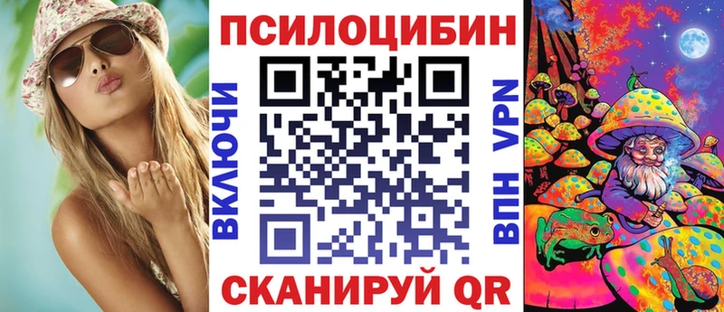 Псилоцибиновые грибы Cubensis  что такое   Тында 