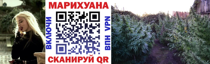 Бошки марихуана ГИДРОПОН  блэк спрут как войти  Тында 